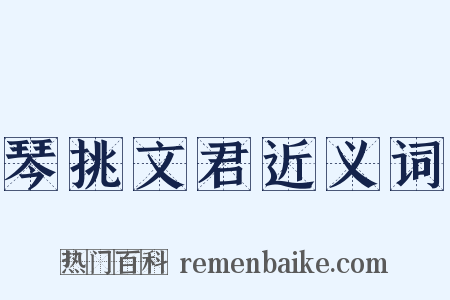 琴挑文君近义词是什么意思的图片
